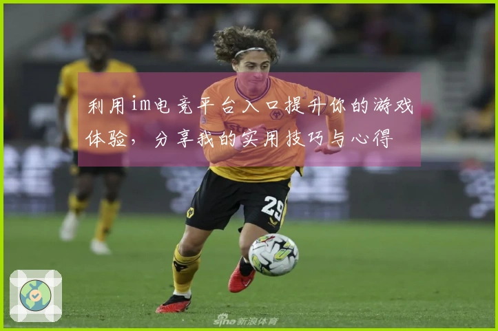 利用im电竞平台入口提升你的游戏体验，分享我的实用技巧与心得