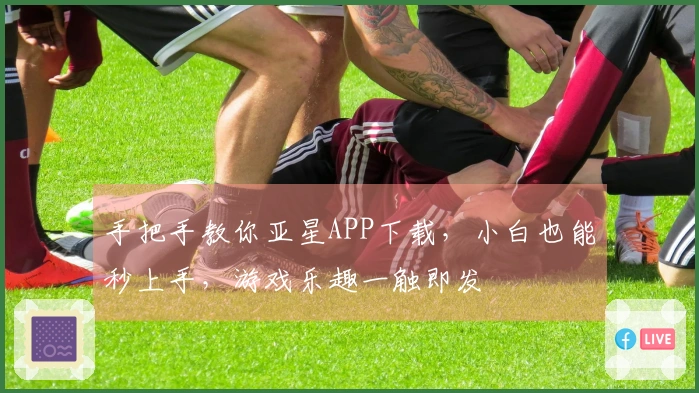 手把手教你亚星APP下载，小白也能秒上手，游戏乐趣一触即发