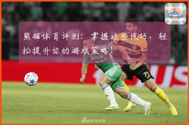 熊猫体育评测：掌握这些技巧，轻松提升你的游戏策略！